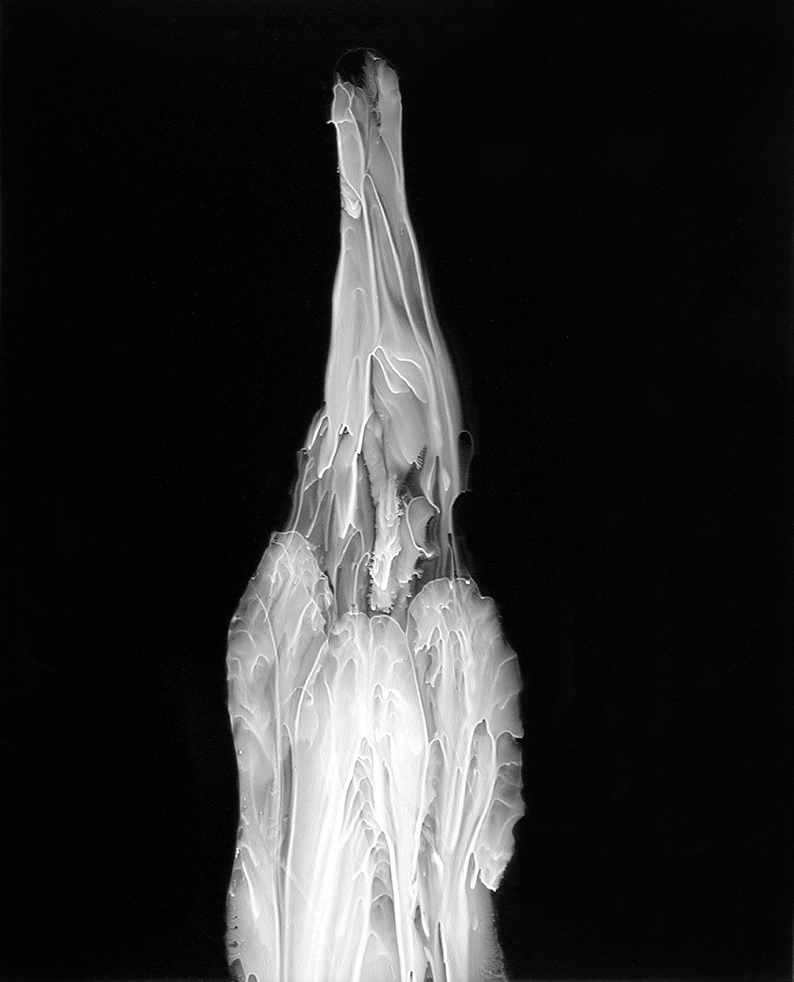 jean-daniel salvat